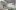 Screen-Shot-2019-02-22-at-4.33.43-PM-1024x536
