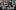 Online Intensives Online Intensives